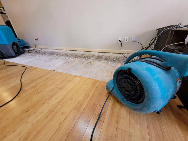 Professional Water Damage Repair technician working in Union Grove, AL
